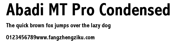 Abadi MT Pro Condensed.ttf 下载 Abadi MT Pro Condensed.ttf
